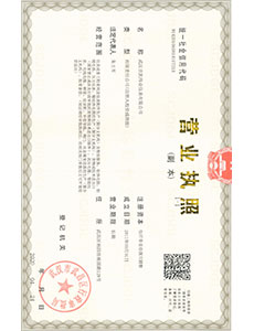 营业执照（副本）